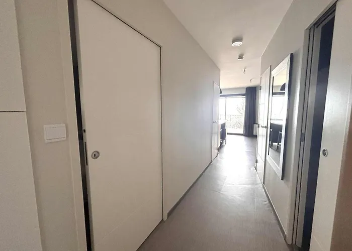 Appartement Pmr Avec Balcon, Piscine, Parking Et A - Fr-1-194-229 *